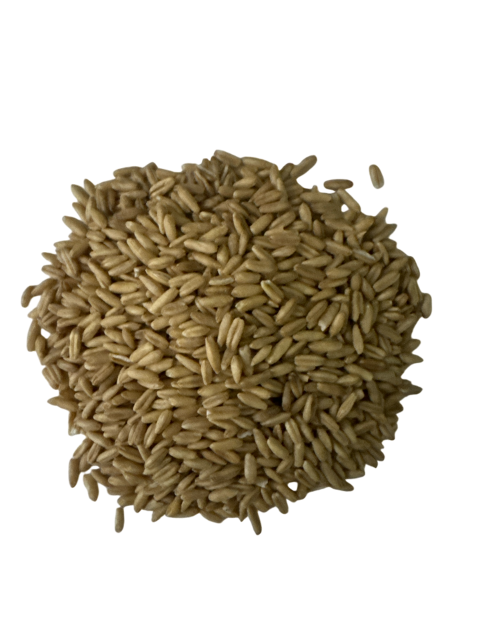 AVENA PEPA X 50 KG