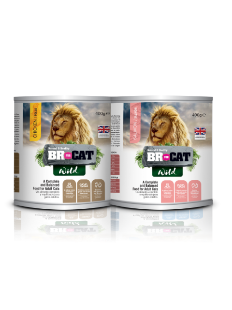 BR FOR CAT LATA SURT. X 400 G