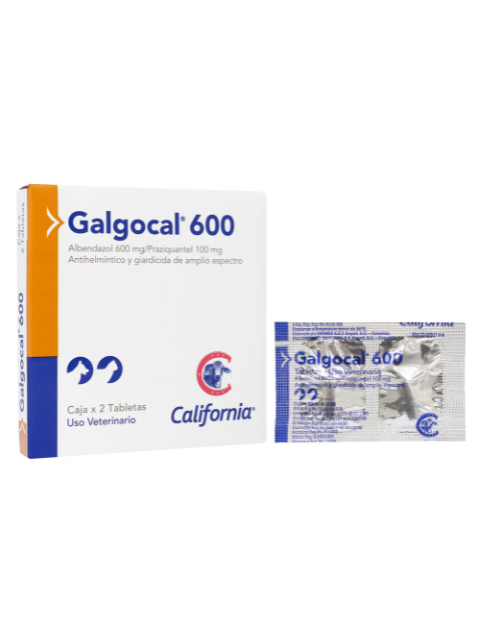 CALIF GALGOCAL 600 X 2 TAB