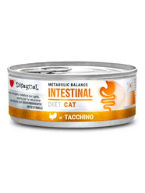 DISUGUAL CAT LATA INTESTINAL SURT. X 85 G