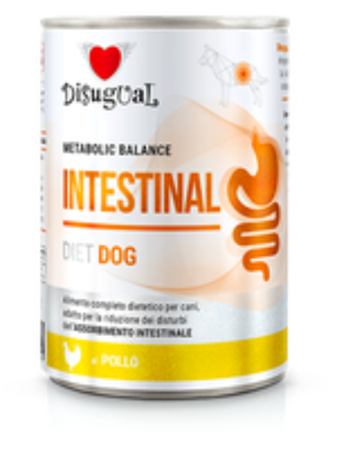 DISUGUAL DOG LATA INTESTINAL SURT. X 400 G