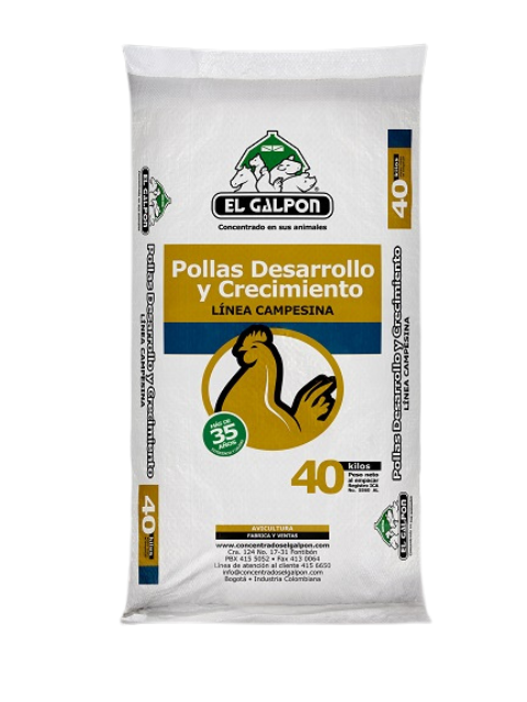 EL GALPON POLLAS DLLO.CREC.(DELGADA) X 40 KG