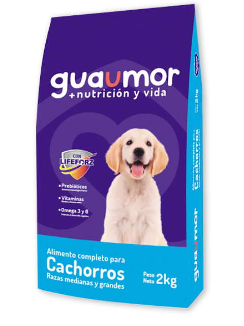 GUAUMOR CACHORRO RAZ.M&G X 2 KG X 10 UNI