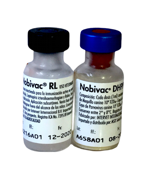 VAC NOBIVAC DHPPI + RL (OCTUPLE)