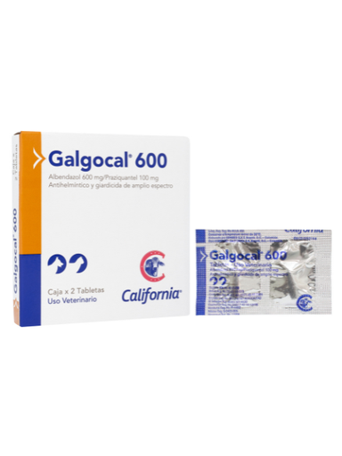 [175U] CALIF GALGOCAL 600 X 2 TAB