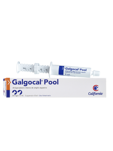 [176U] CALIF GALGOCAL SUSPEN. ORAL X 5 ML