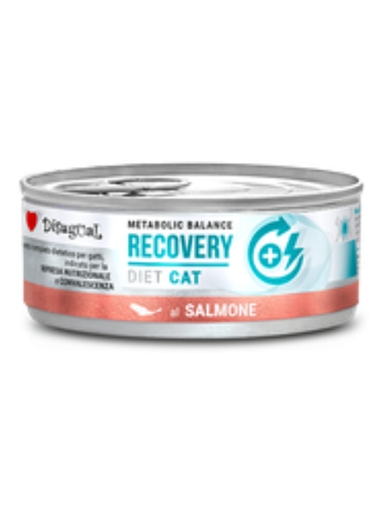 [306U] DISUGUAL CAT LATA RECOVERY SURT. X 85 G