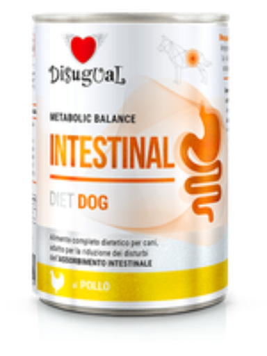 [308U] DISUGUAL DOG LATA INTESTINAL SURT. X 400 G
