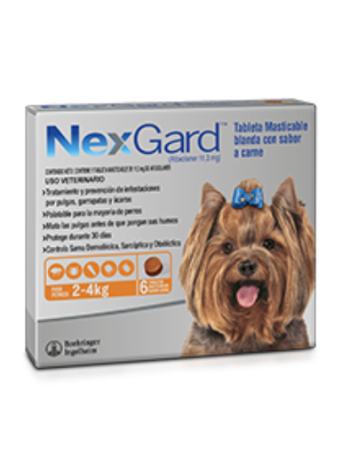 NEXGARD 2 A 4 KG
