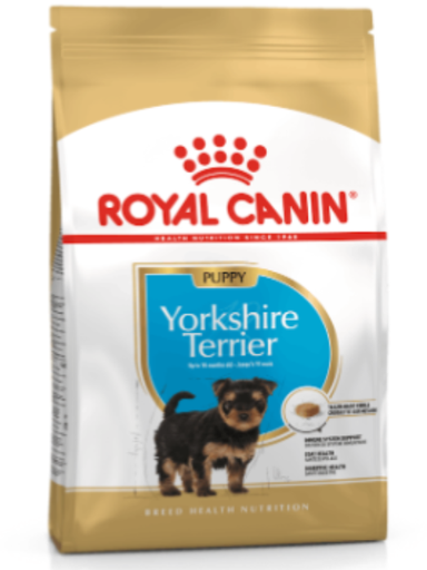 [872U] ROYAL C YORKSHIRE PUPPY X 1.13 KG