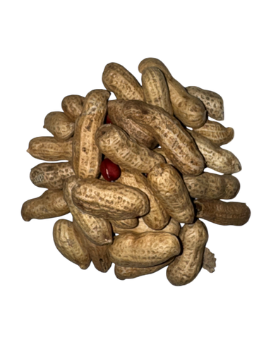 SEMILLA DE CACAHUATE X 50 KG