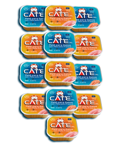 [1062U] CAT´E OFERTA P12LLV13
